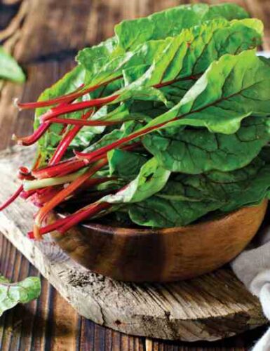 category article image